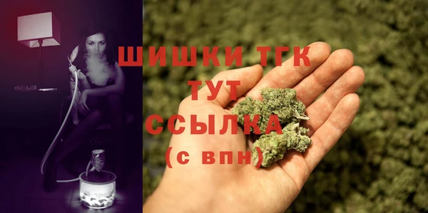 прущие грибы Липки