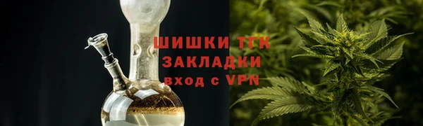 прущие грибы Липки