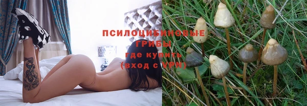 эйфоретик Лихославль