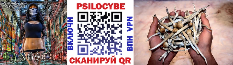Галлюциногенные грибы Psilocybine cubensis  Купить закладки  Балаково 